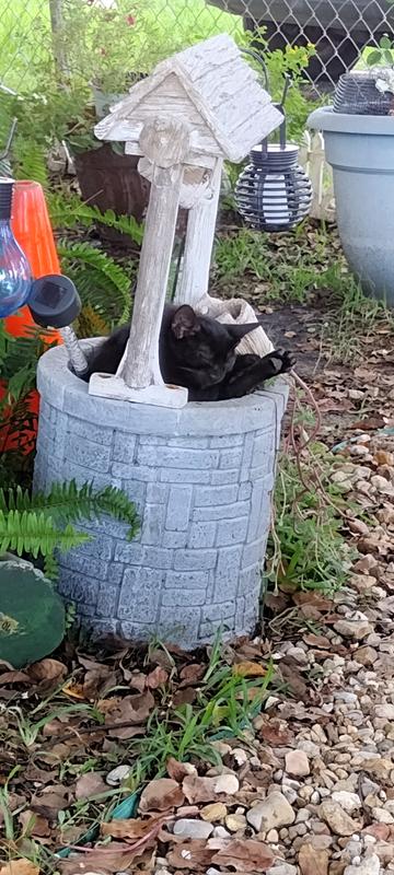 Wishing for some more Temptations