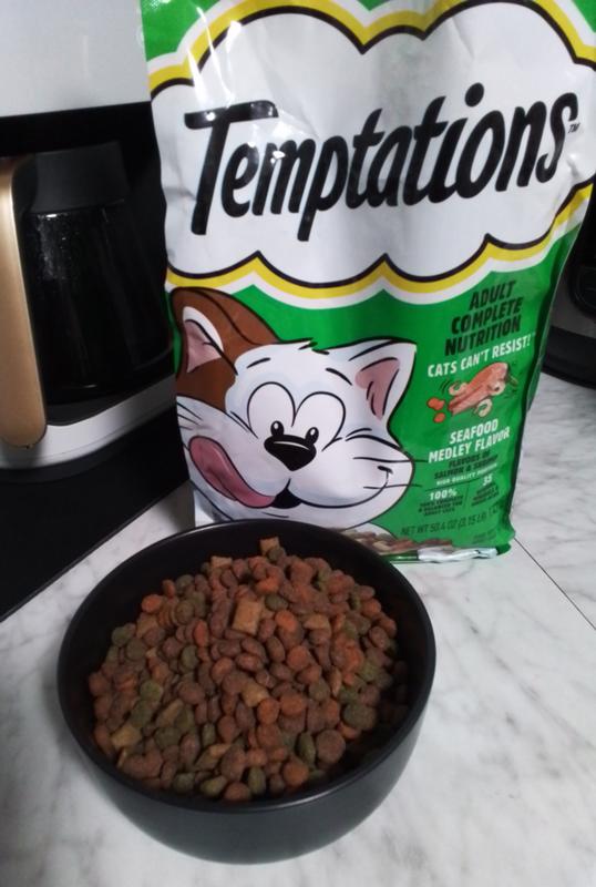 Delicious food for cats