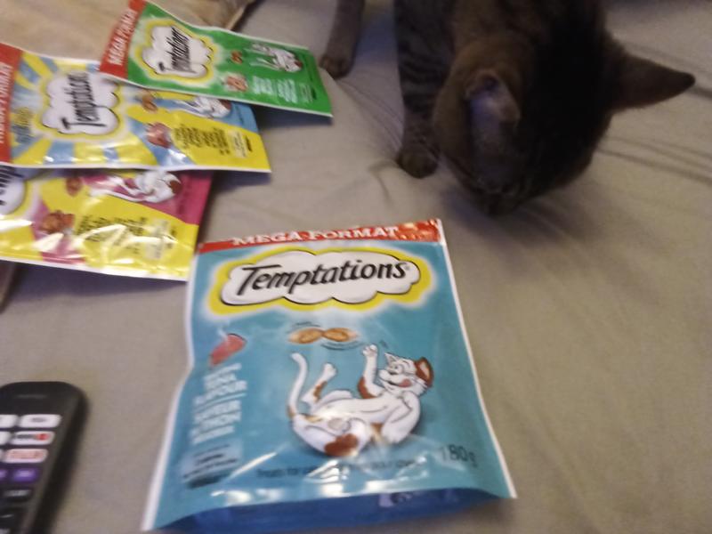 Kitcat eating tuna Temptations™