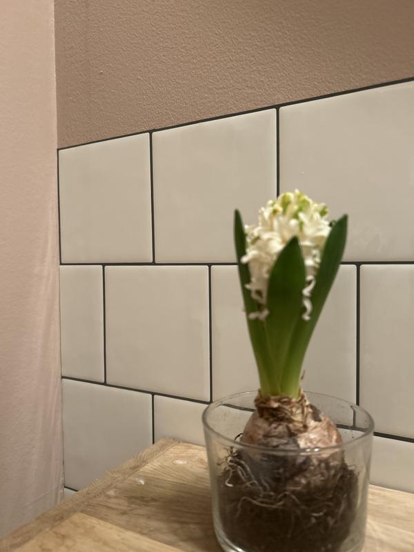 Revisione aperta modale 3 su 3