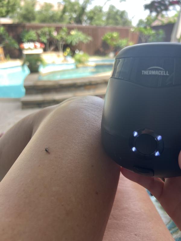 Photo submitted with review of product