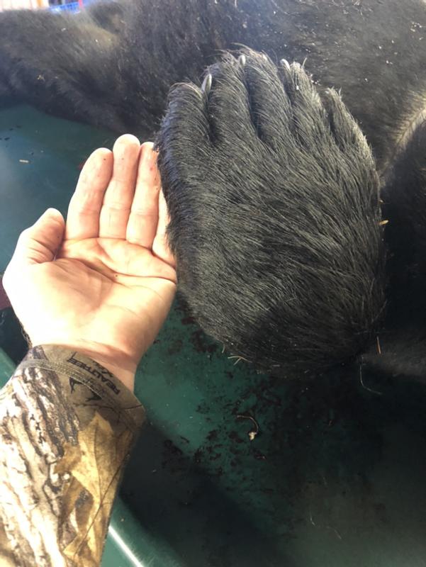 Photo submitted with review of product