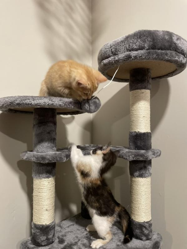 Petzone Cat Tree The Warehouse