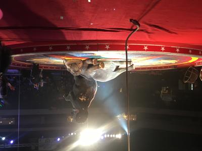 picture #6