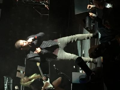 picture #14