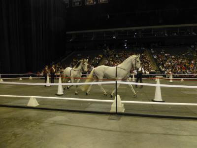 picture #44