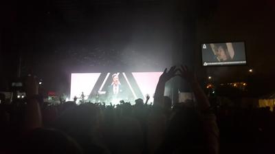 picture #17