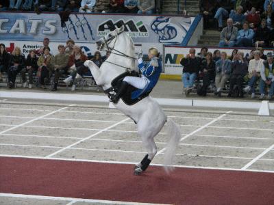picture #52