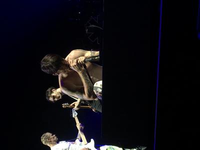 picture #8