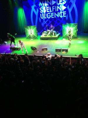 picture #16