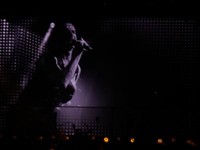 picture #29