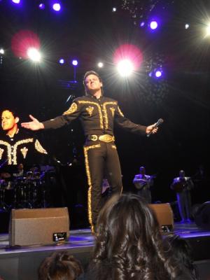 picture #8