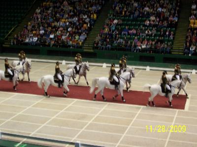 picture #39