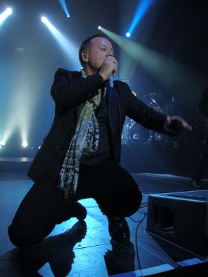 picture #11