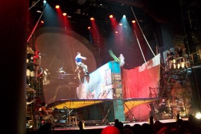 picture #7