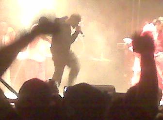picture #8