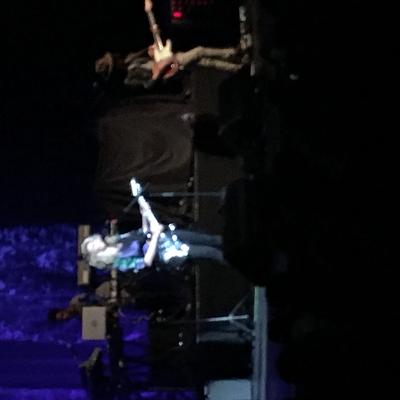 picture #7