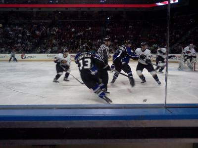 picture #5