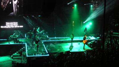 picture #8