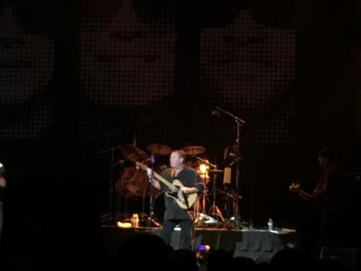 picture #9