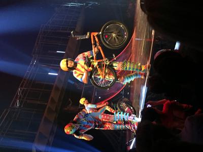 picture #5