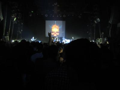 picture #62