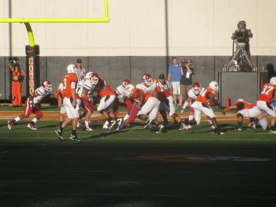 picture #7