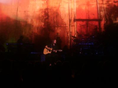 picture #14