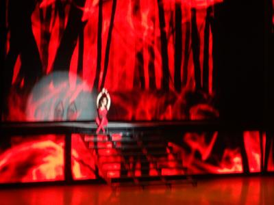 picture #6
