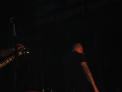 picture #31
