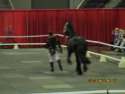 picture #17