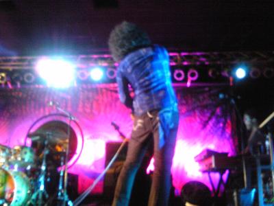 picture #11
