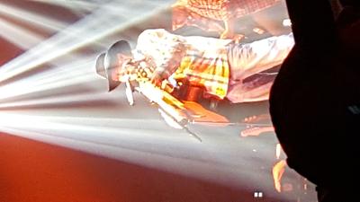 picture #8
