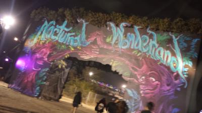 picture #8