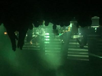 picture #7