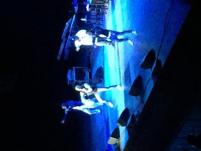 picture #21