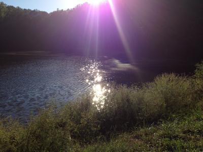 picture #3