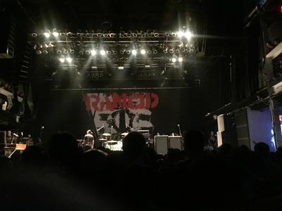 picture #33
