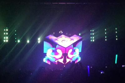 picture #8