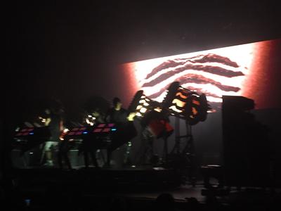 picture #11