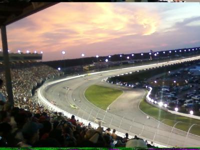 picture #41