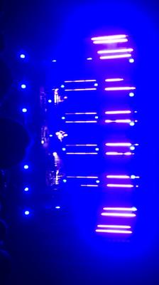 picture #4