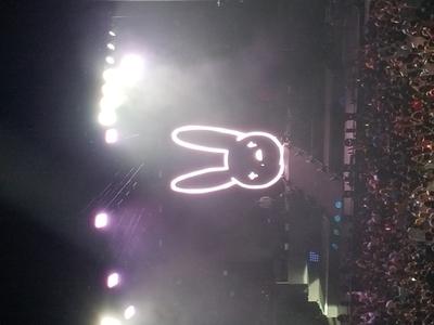 picture #8