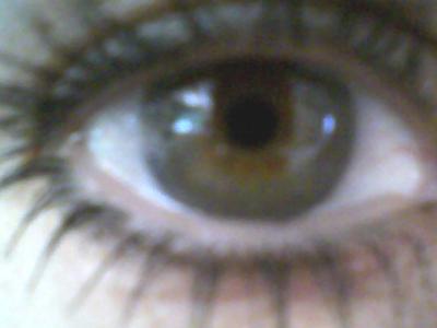 picture #10