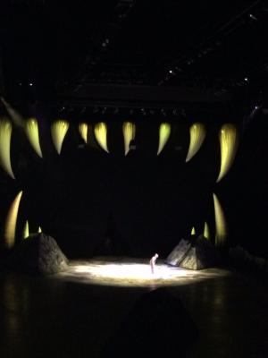 picture #41