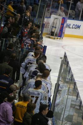 picture #31