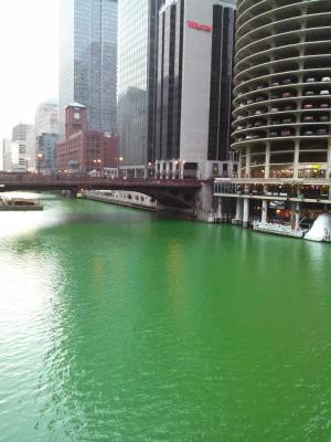 picture #6