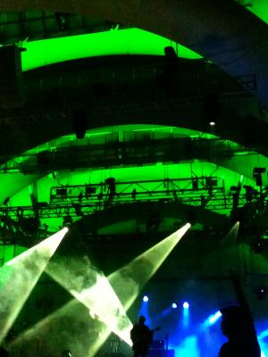 picture #8