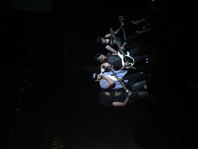 picture #11