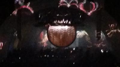 picture #8